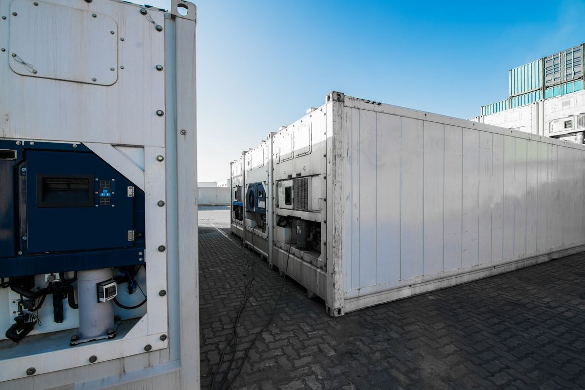 refrigerated container sales